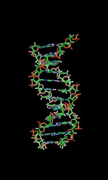 A recent study suggests that analyzing SNPs can help identify genetic differences between individuals with high IQs and the rest of the population