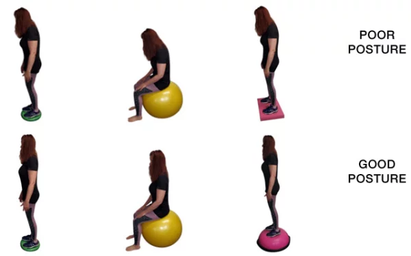 Muscles help maintain movement and posture in daily activities.