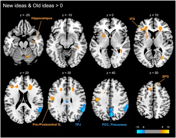 Simulating the unique activation patterns of the brain when remembering new concepts