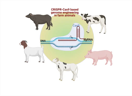 Simulation of CRISPR technology and its ability to edit animal genes