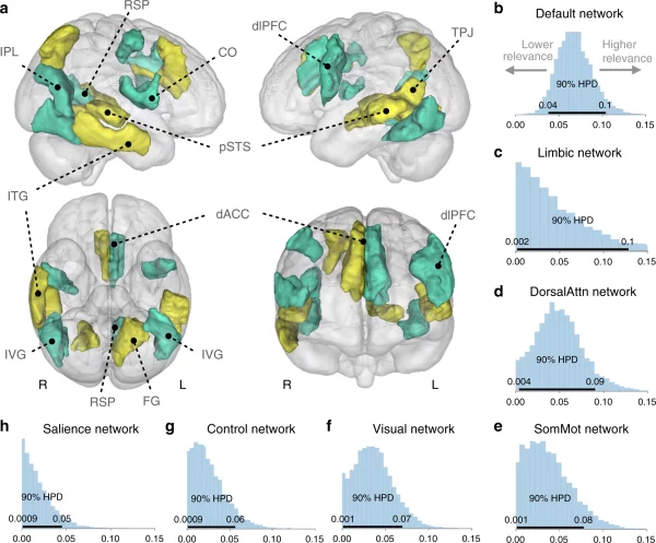 The activity of the human brain network when shifting attention in social communication situations