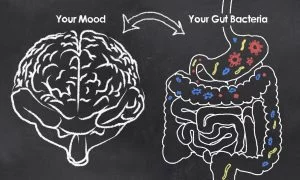 Gut bacteria and their impact on mood and health