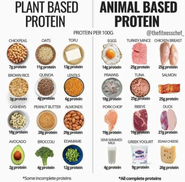 Comparison of fat and calorie content between vegan and animal-based foods