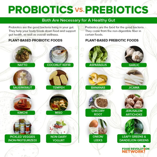 Image of foods like yogurt, kimchi, and vegetables, symbolizing a healthy diet that supports gut health