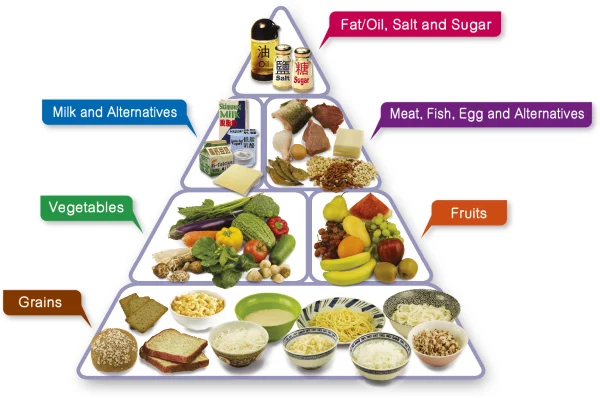 Balanced food groups in a diet help maintain overall health