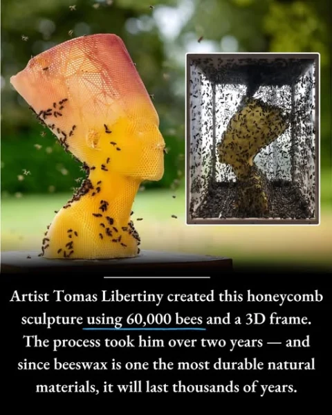 Bee Wax Bust of Nefertiti: The Perfect Fusion of Art and Nature