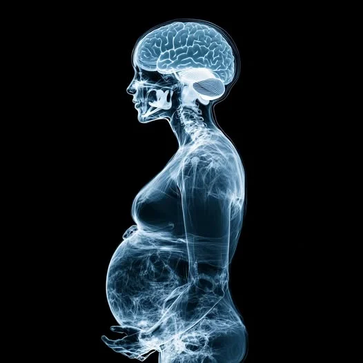 Can Pregnant Women Experience Temporary Memory Loss? The Secrets Behind Brain Changes During Pregnancy