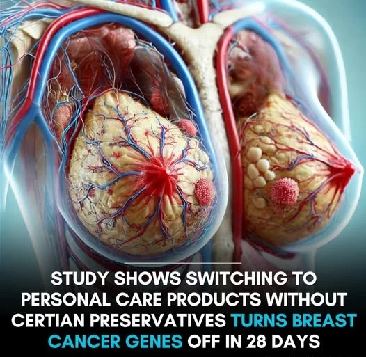 Chemicals in Cosmetics That Could Increase Breast Cancer Risk – Did You Know?