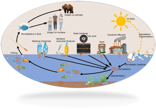Microplastic particles in the marine environment. These particles are the primary cause of increased environmental pollution and pose risks to human health